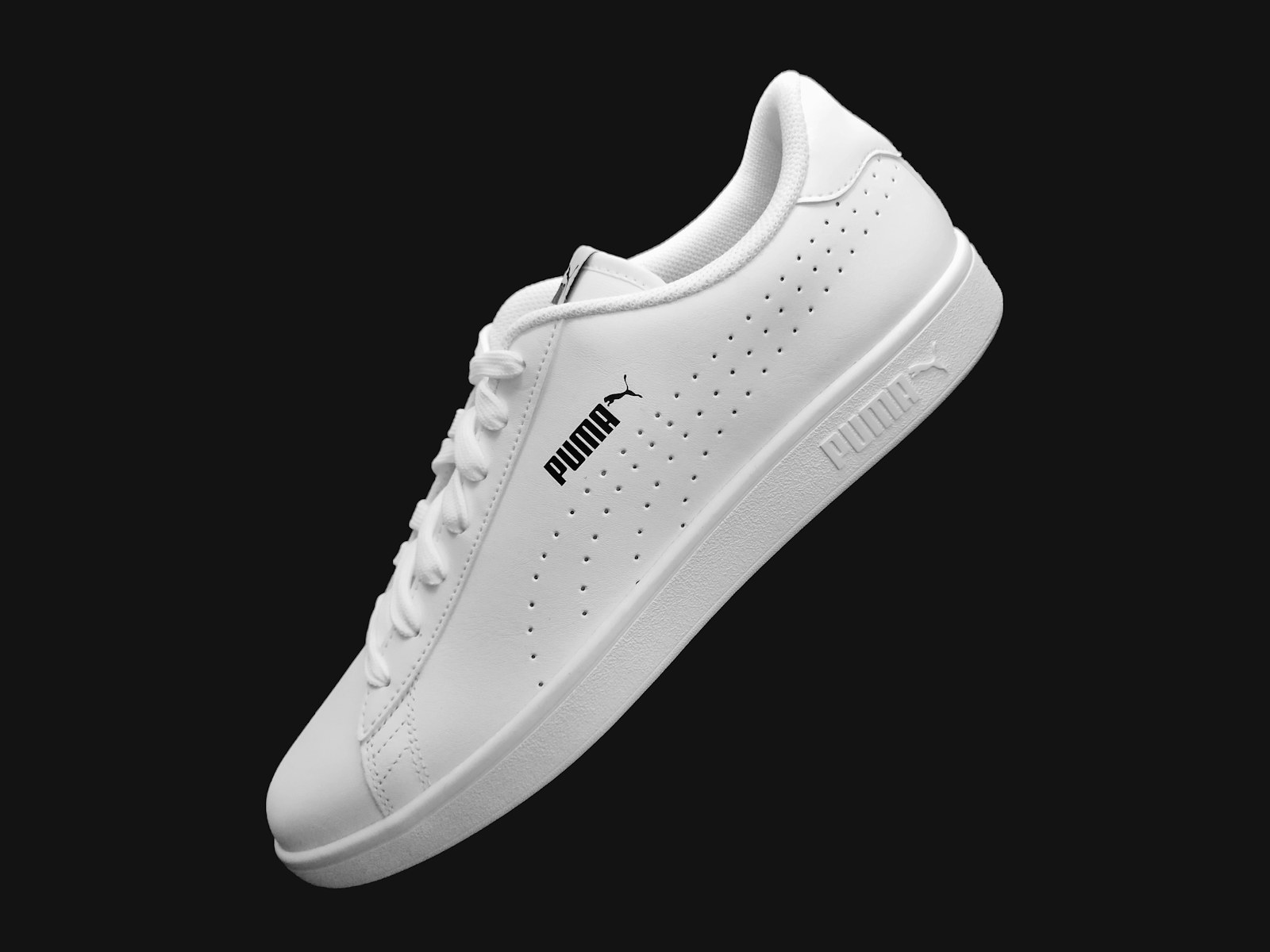 Gazelle Indoor